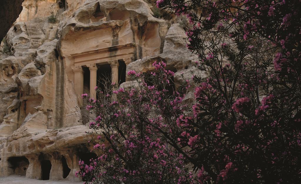 Moevenpick Resort Petra Wadi Musa Eksteriør bilde The rock-cut tomb of King Herod the Great